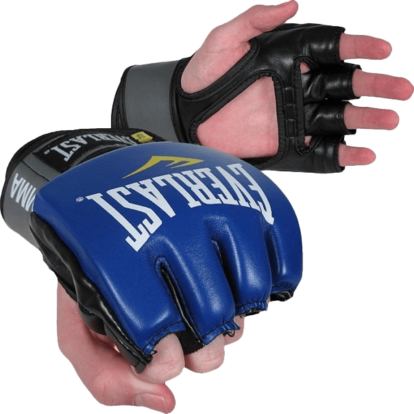 ММА перчатки Everlast Pro Style Grappling синие - фото 1