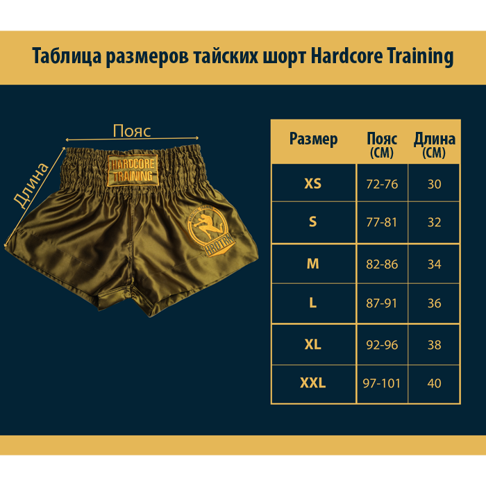 Тайские шорты Hardcore Training Base Blue - фото 6