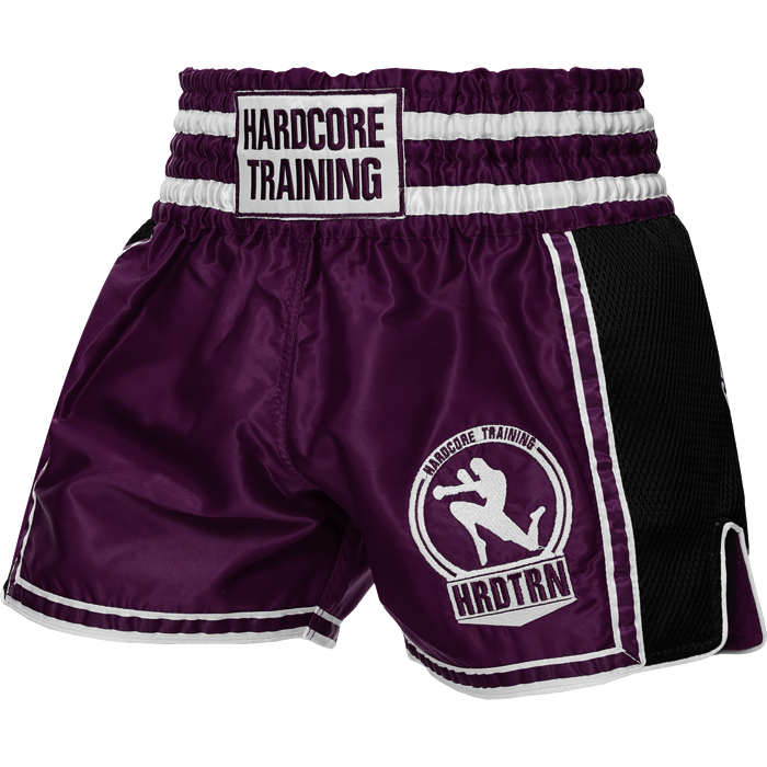 Тайские шорты Hardcore Training Base 2.0 Purple - фото 1