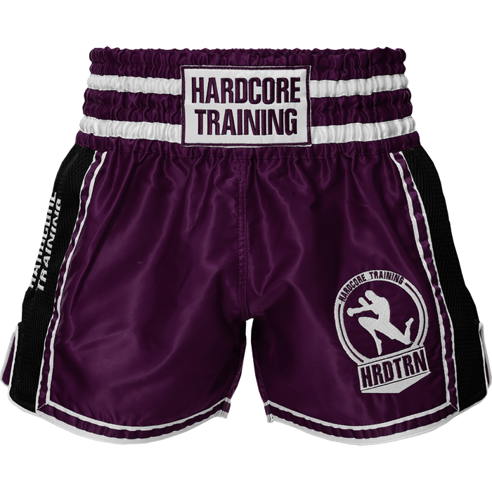 Тайские шорты Hardcore Training Base 2.0 Purple - фото 2