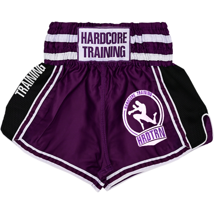 Тайские шорты Hardcore Training Base 2.0 Purple - фото 7