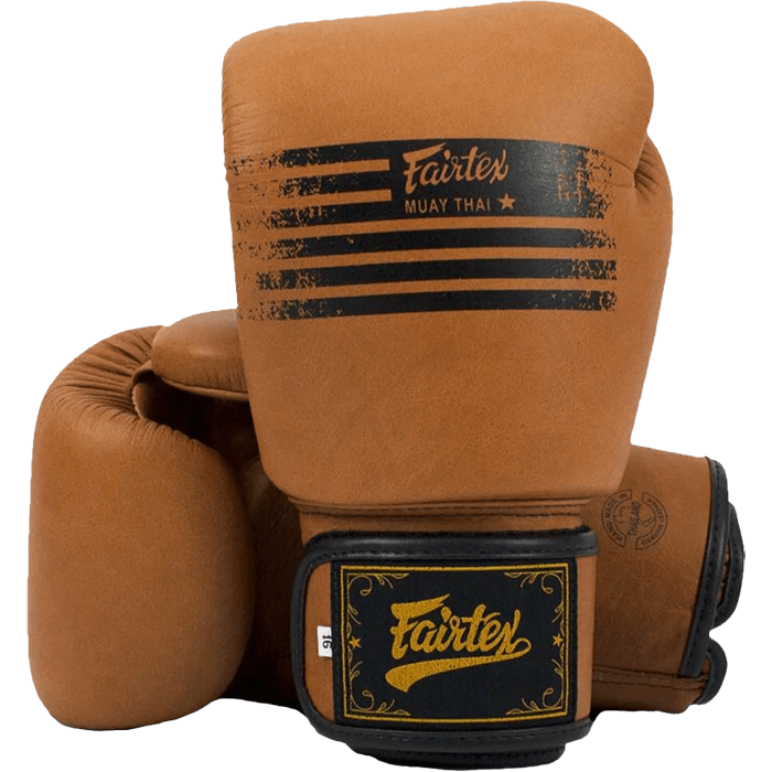 Боксерские перчатки Fairtex BGV21 Legacy 8 Oz - фото 1