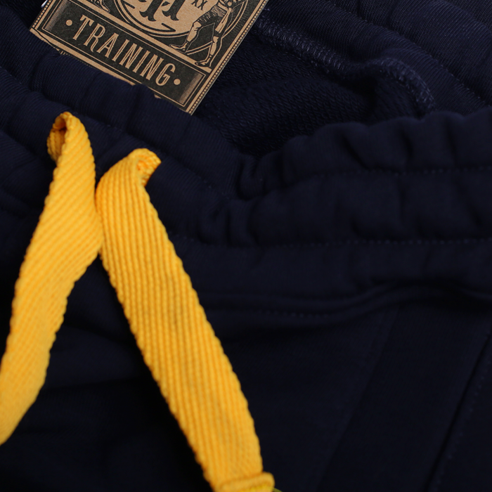 Штаны спортивные Hardcore Training Holmgang Navy - фото 6