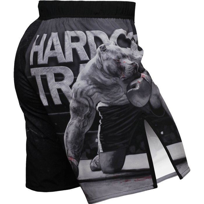 Шорты Hardcore Training х Ground Shark Die Hard - фото 3