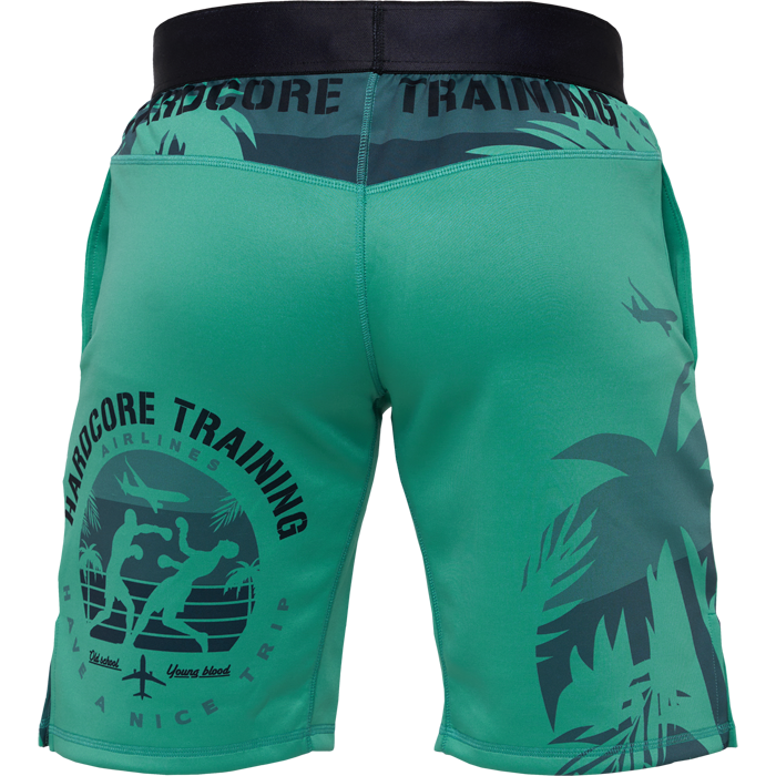 Тренировочные шорты Hardcore Training Voyage Mint - фото 4