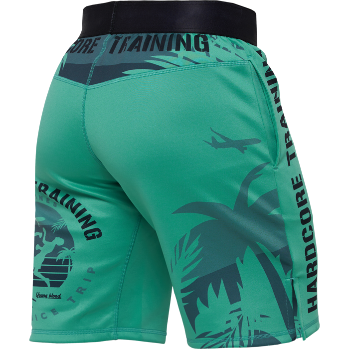 Тренировочные шорты Hardcore Training Voyage Mint - фото 9