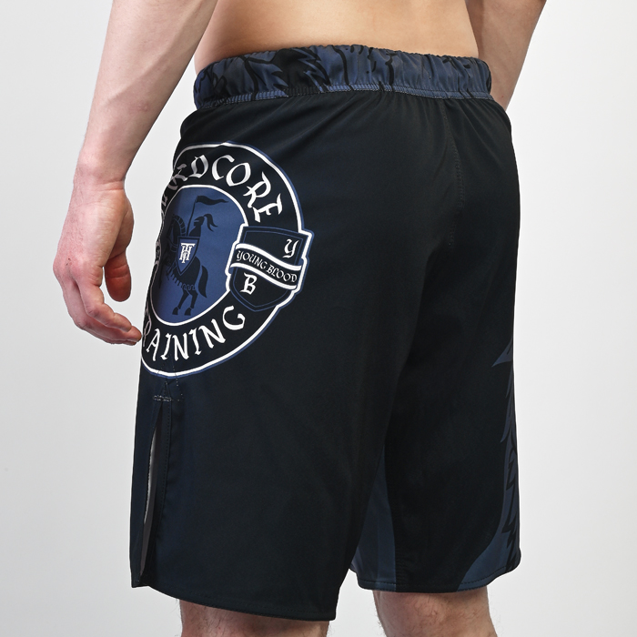 Шорты Hardcore Training Heraldry Black - фото 5