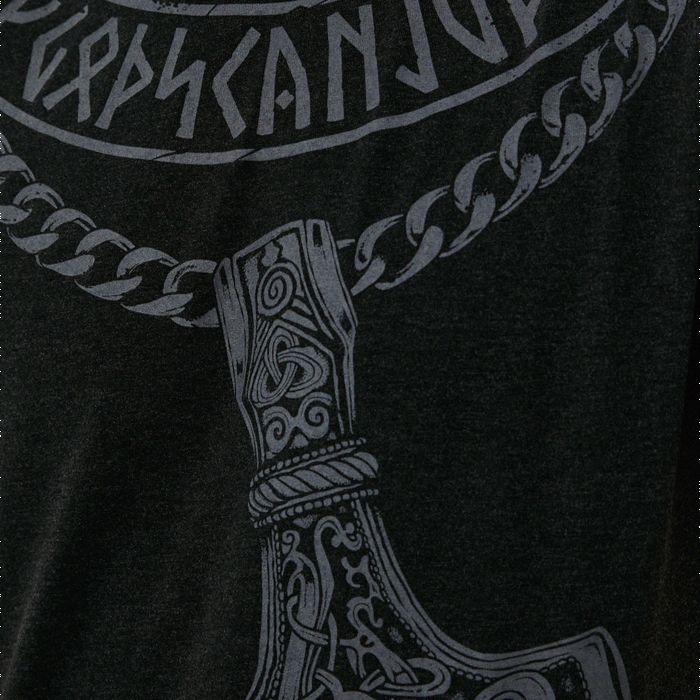 Футболка Hardcore Training Hammer Of Gods Black - фото 6