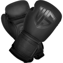 Боксерские перчатки Warrior Spirit