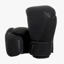 Боксерские перчатки hayabusa t360 black
